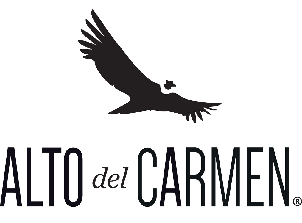 Logo alto del carmen